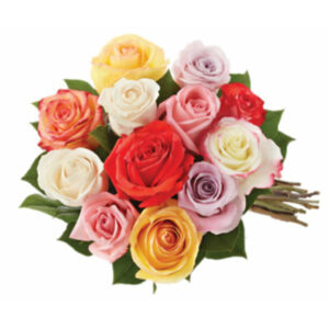 Mix Roses (Colors may vary)