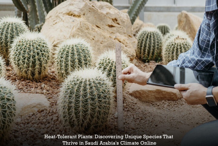 Heat-Tolerant Plants: Discovering Unique Species That Thrive in Saudi Arabia's Climate Online