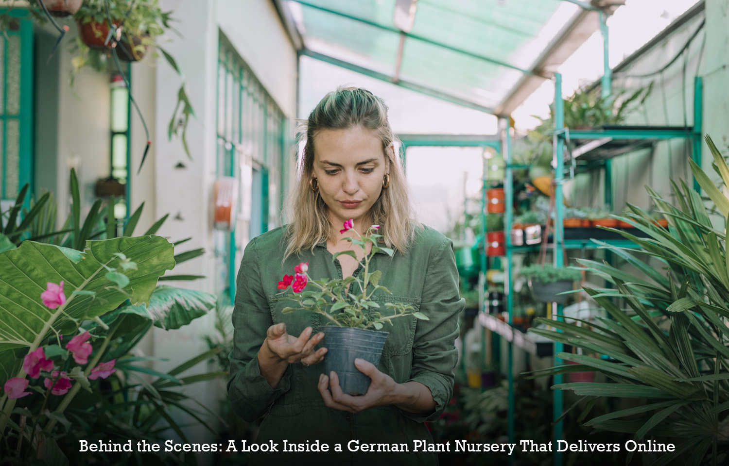 Behind the Scenes: A Look Inside a German Plant Nursery That Delivers Online