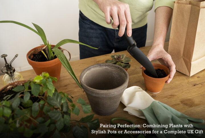 Pairing Perfection: Combining Plants with Stylish Pots or Accessories for a Complete UK Gift