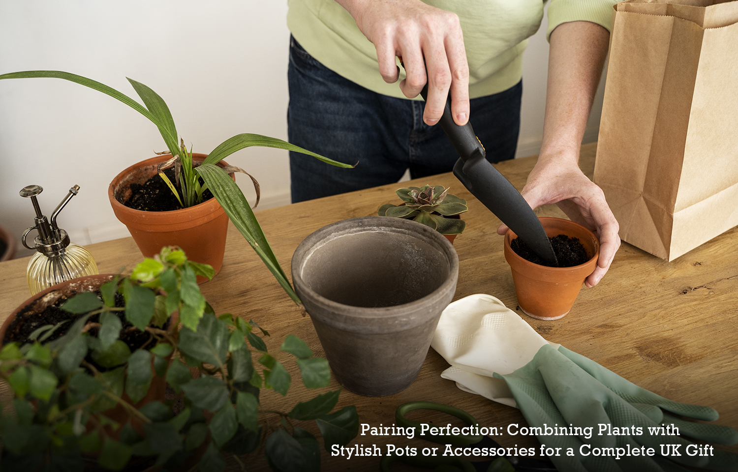 Pairing Perfection: Combining Plants with Stylish Pots or Accessories for a Complete UK Gift