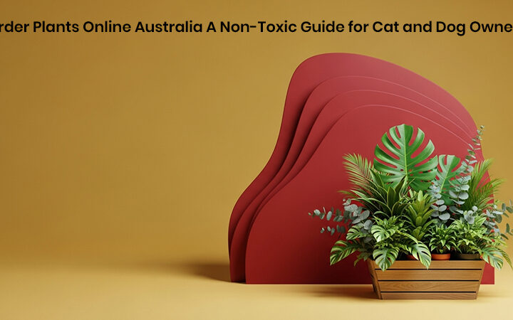 Order Plants Online Australia A Non-Toxic Guide for Cat and Dog Owners
