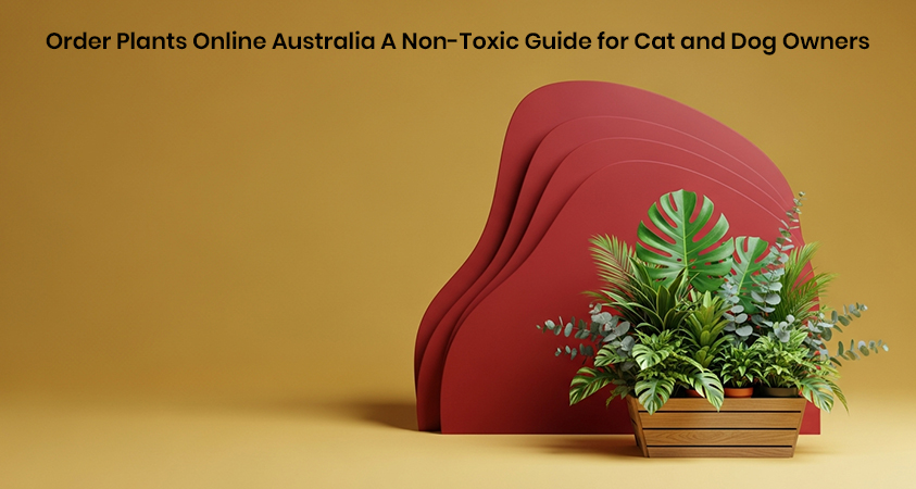 Order Plants Online Australia A Non-Toxic Guide for Cat and Dog Owners