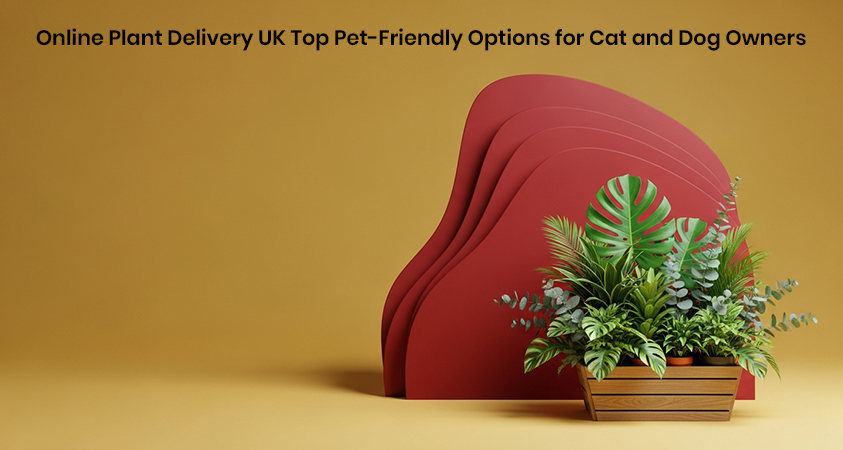 Online Plant Delivery UK Top Pet-Friendly Options for Cat and Dog Owners